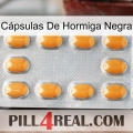 Cápsulas De Hormiga Negra cialis3